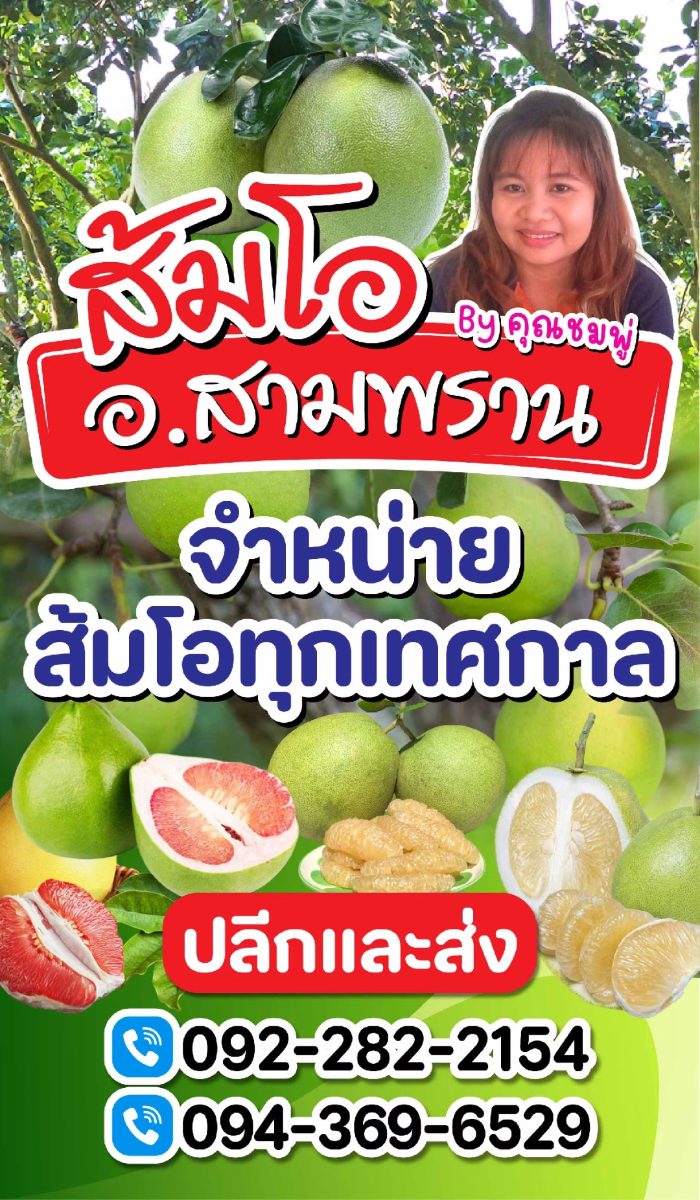 ส้มโอ อ.สามพราน by คุณชมพู่