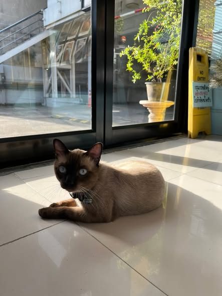 O’Kaffee Rangsit photo 1